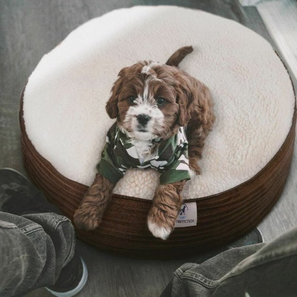 Fleecy Pet Cave Round Soft Bed for Small Dog Cat - Picture 5 of 11